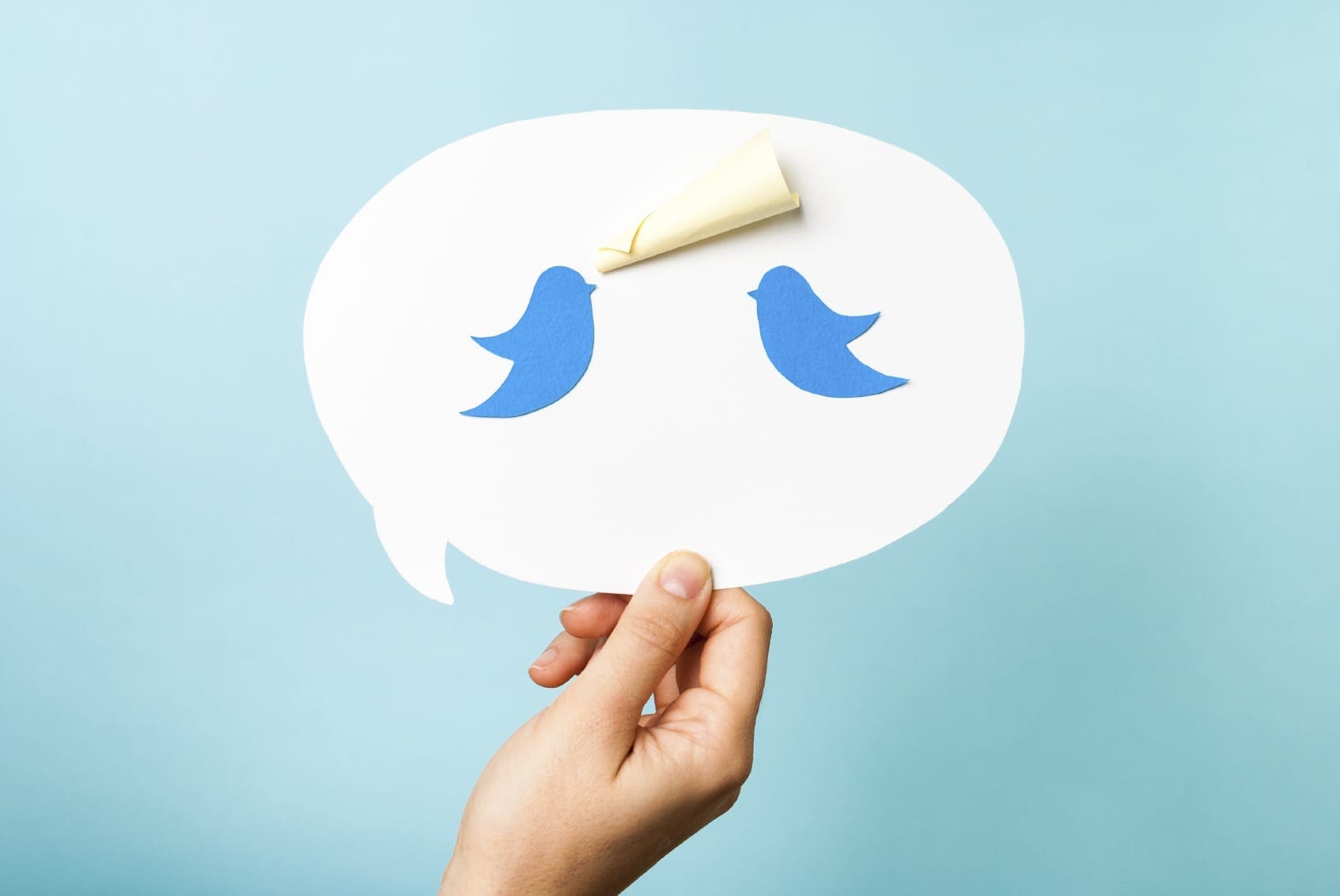 Blue bird on speech bubble