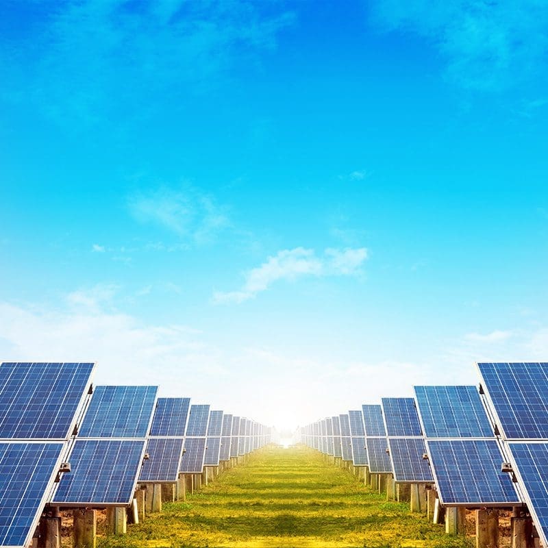 NEE_Solar Panels_800x800