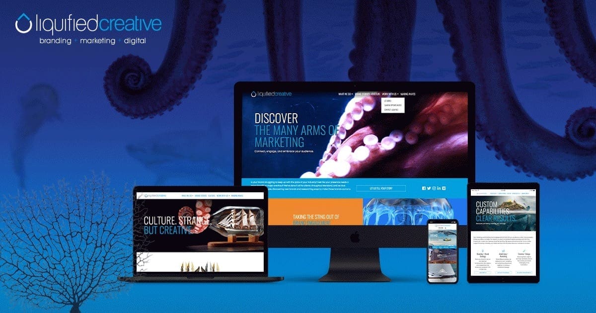 liquified creative website launch portfolio
