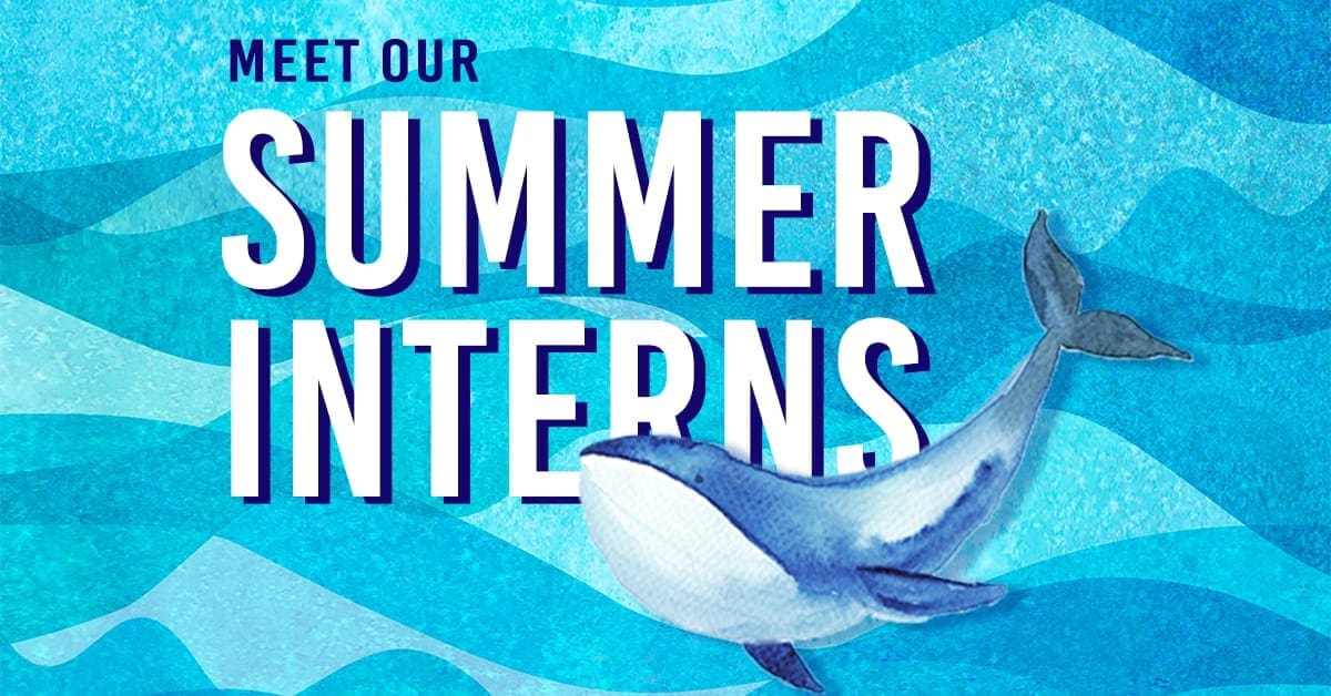 Summer Interns Blog Header Image (1)