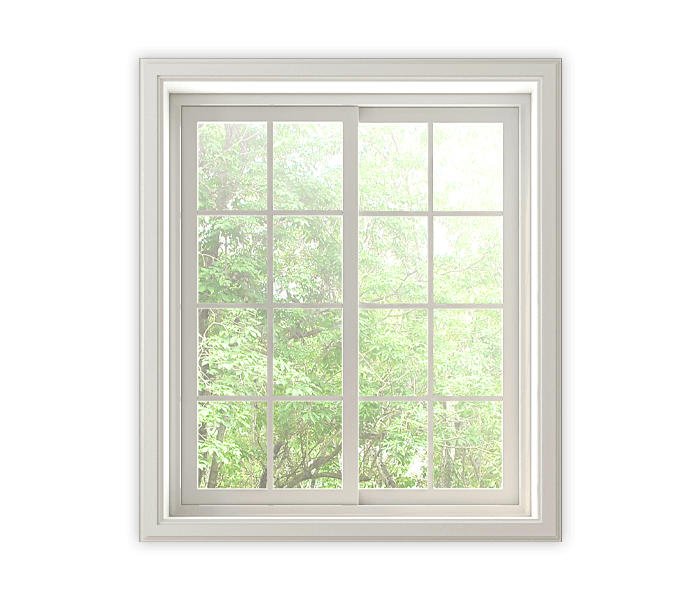 CN_Window png