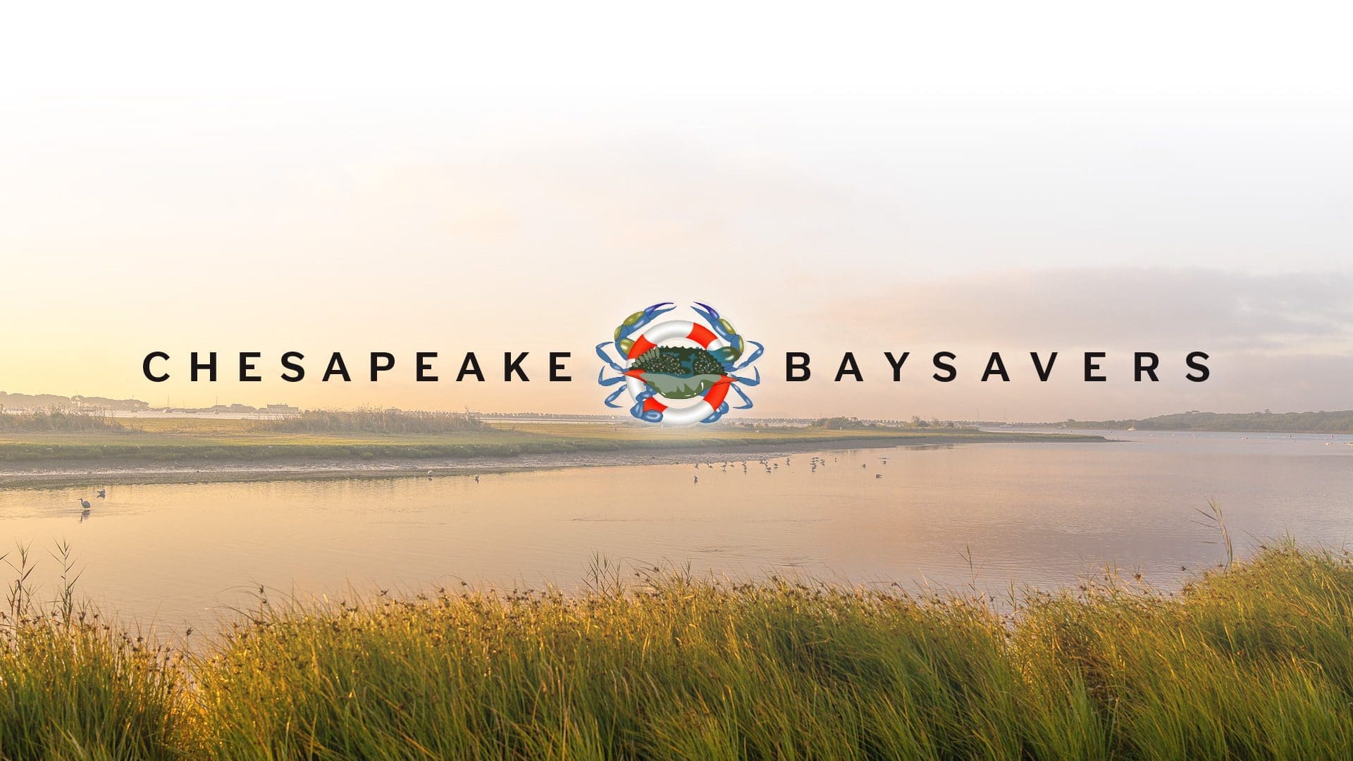 Baysavers_Header_1920x1080