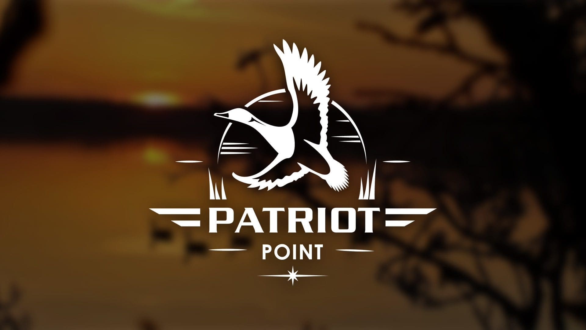 PP_Header_1920x1080