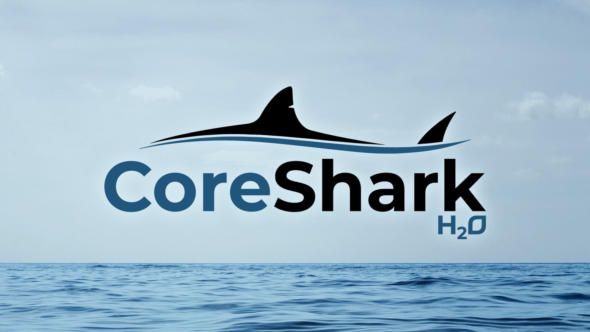 CoreShark H2O Logo and Identity System